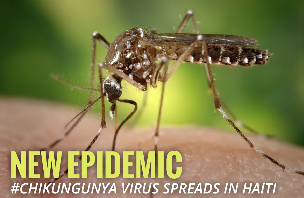 Chikungunya Virus in Haiti